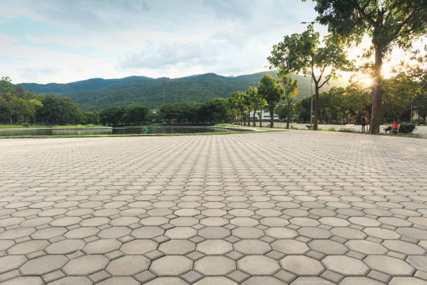 Best Concrete Paver Driveway  in Allegan, MI